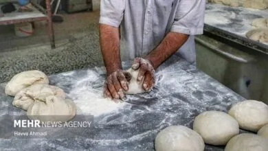 ایران صنعتی